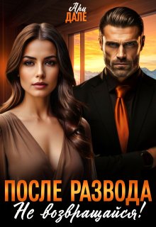 После развода. Не возвращайся! — Ари Дале
