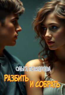 Разбить и собрать — Ольга Пожарова