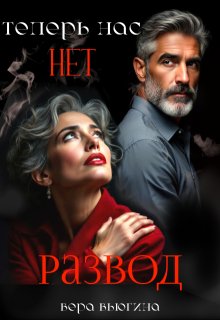 Развод. Теперь нас нет. — Вера Вьюгина