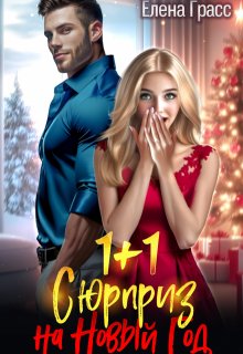 1 + 1. Сюрприз на Новый год — Елена Грасс
