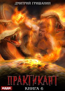 Практикант. Книга 6 — ИДДК