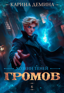 Громов. Хозяин теней. 6 — Карина Демина