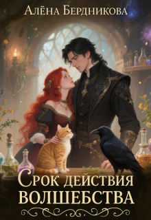 Срок действия волшебства — Алена Бердникова