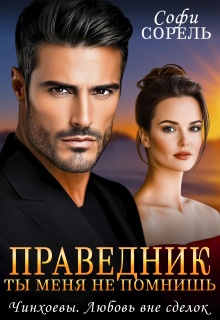 Праведник. Ты меня не помнишь — Софи Сорель