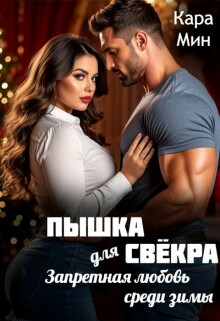 Пышка для свёкра. Запретная любовь среди зимы — Кара Мин