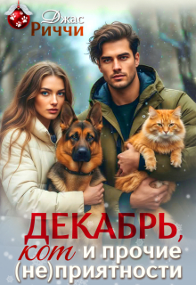 Декабрь, кот и прочие (не)приятности — Джас Риччи