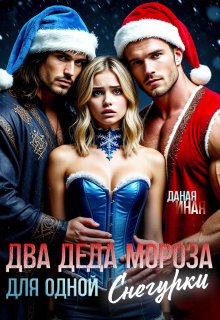 Два Деда Мороза для одной Снегурки — Даная Иная