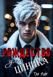 Рождество для Циника — TasShir