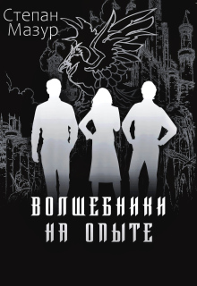 Волшебники на опыте — Степан Мазур