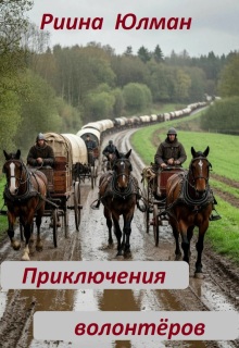Приключения волонтёров — Риина Юлман