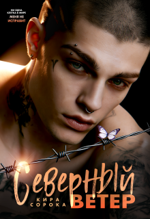 Северный ветер — Кира Сорока